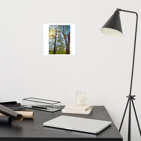 Basic Print-Sun Rays Through Trees