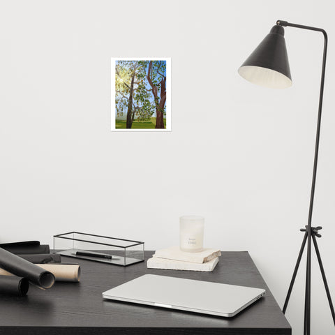 Basic Print-Sun Rays Through Trees