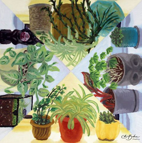 Plants Galore Triangles