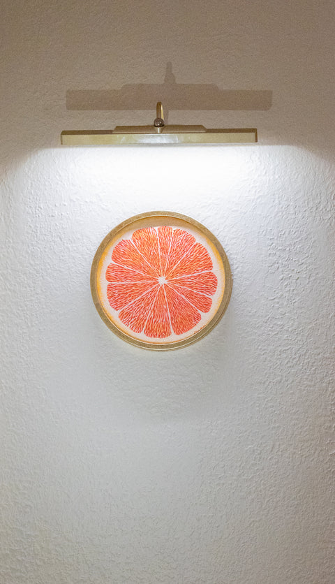 Round Citrus Slice