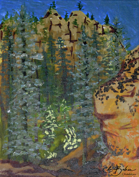 Basic Print- View from Waterfall