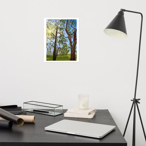 Basic Print-Sun Rays Through Trees