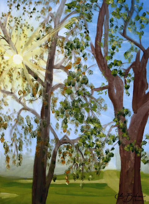 Sun Rays Through Trees